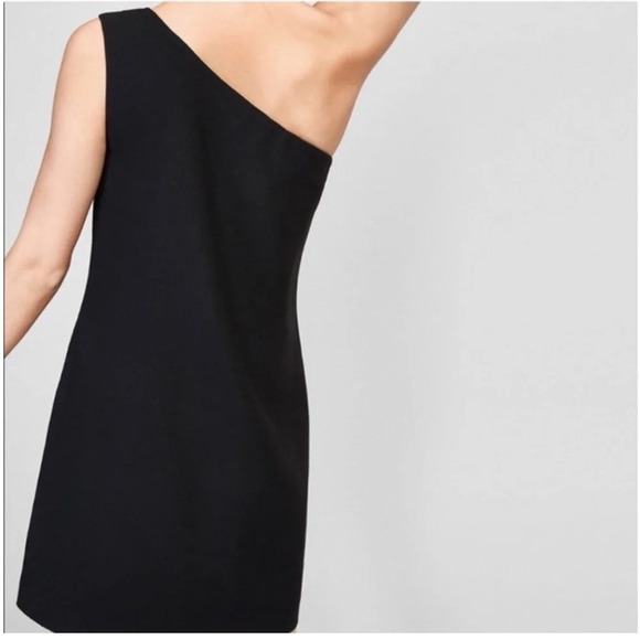 Massimo  Dutti Aritzia Dress - Picture 2 of 5
